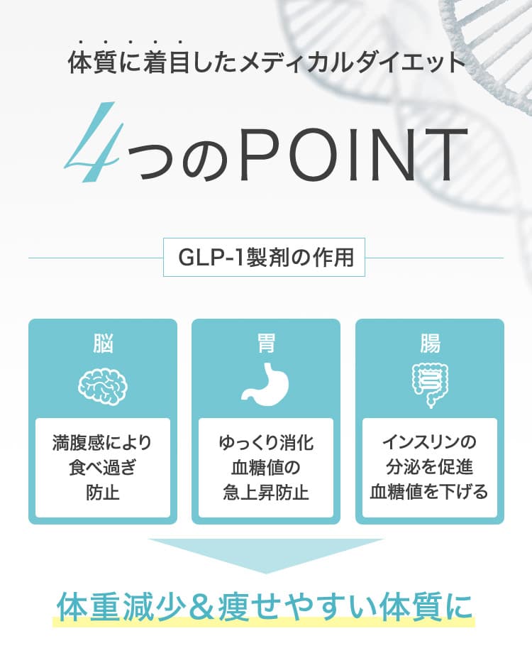 体質に着目したメディカルダイエット4つのポイント／GLP-1製剤の作用／脳: 満腹感により食べすぎ防止／胃: ゆっくり消化、血糖値の急上昇防止／腸: インスリンの分泌を促進、血糖値を下げる／体重減少＆痩せやすい体質に