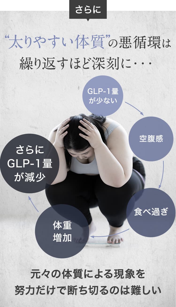 さらに、太りやすい体質の悪循環は繰り返すほど深刻に／元々の体質による現象を努力だけで断ち切るのは難しい
